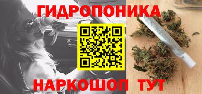 спайс Кандалакша