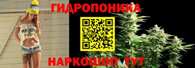 амфетамин Камышлов
