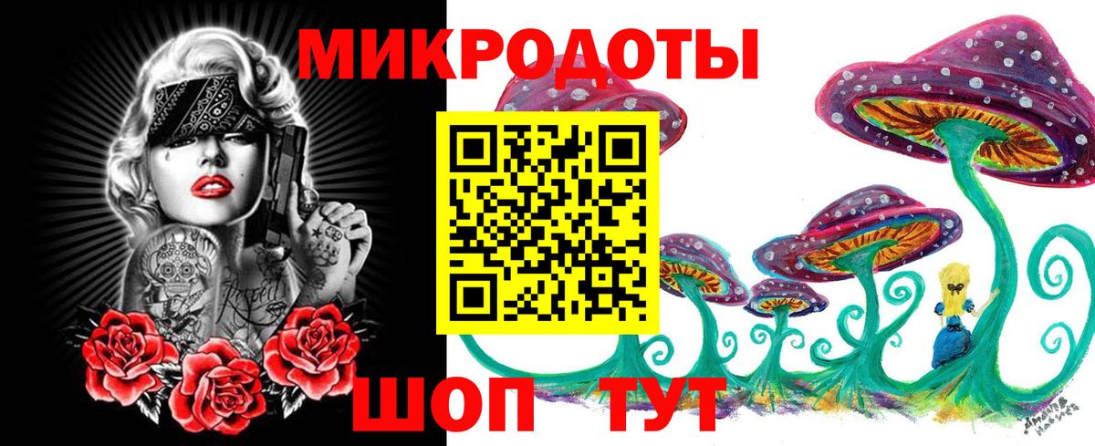 закладка  Вход с VPN  Каспийск  Псилоцибиновые грибы Psilocybine cubensis 